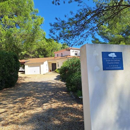 Studio D'Hotes Les Libellules Castelnau-le-Lez Exterior foto